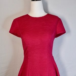 Ted Baker Pink Fit and Flare Dress